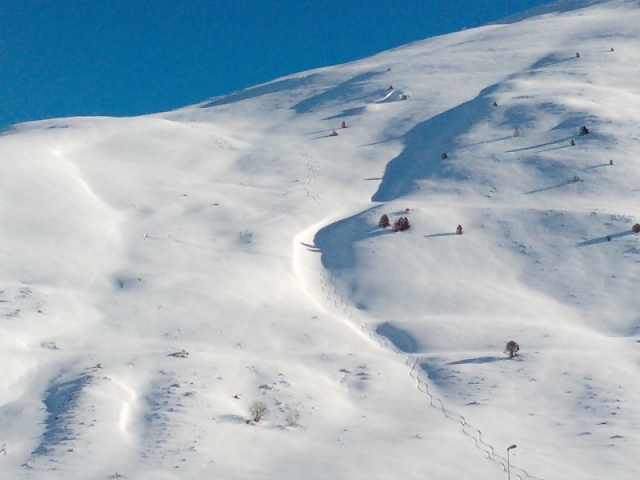  the snowy slope 